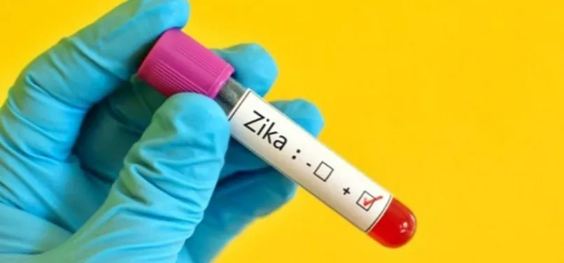 Estudo da Fiocruz aponta pernilongo como possível transmissor do vírus Zika