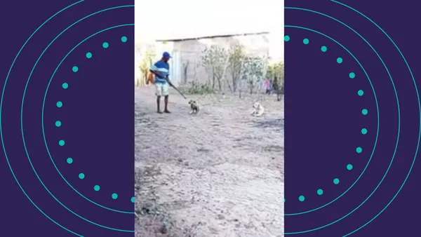 Homem mata cachorro a tiros na Bahia. Foto: reprodução