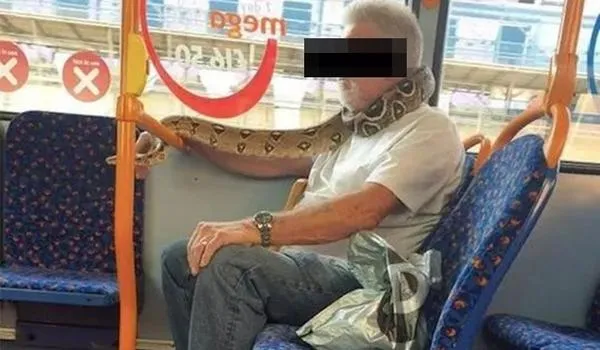 Homem usa cobra como máscara de proteção durante viagem de ônibus na Inglaterra