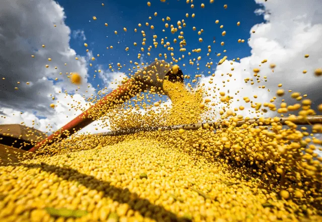 Exportação do agronegócio do Brasil teve receita recorde para outubro