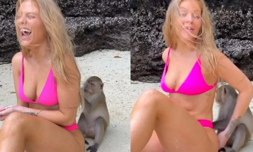 Na Tailândia, Luísa Sonza ganha ‘confere’ de macaco; veja vídeo