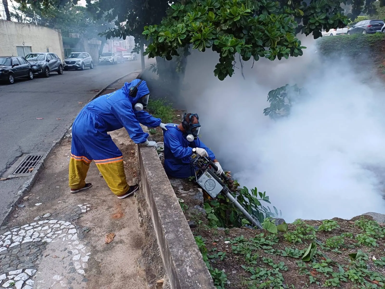 Pós-Carnaval: SMS realiza ações contra dengue nos circuitos da folia nesta segunda (19)