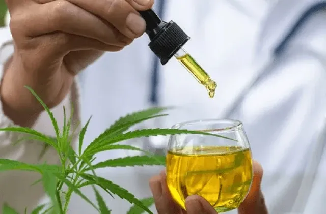 Anvisa amplia regras para uso de cannabis medicinal no Brasil