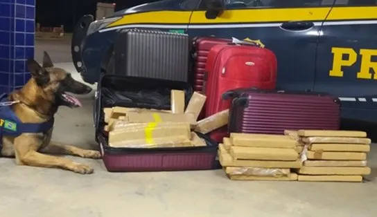 "Ladrão que rouba ladrão...": PRF prende três por tráfico e outro que furtou pertences de traficante