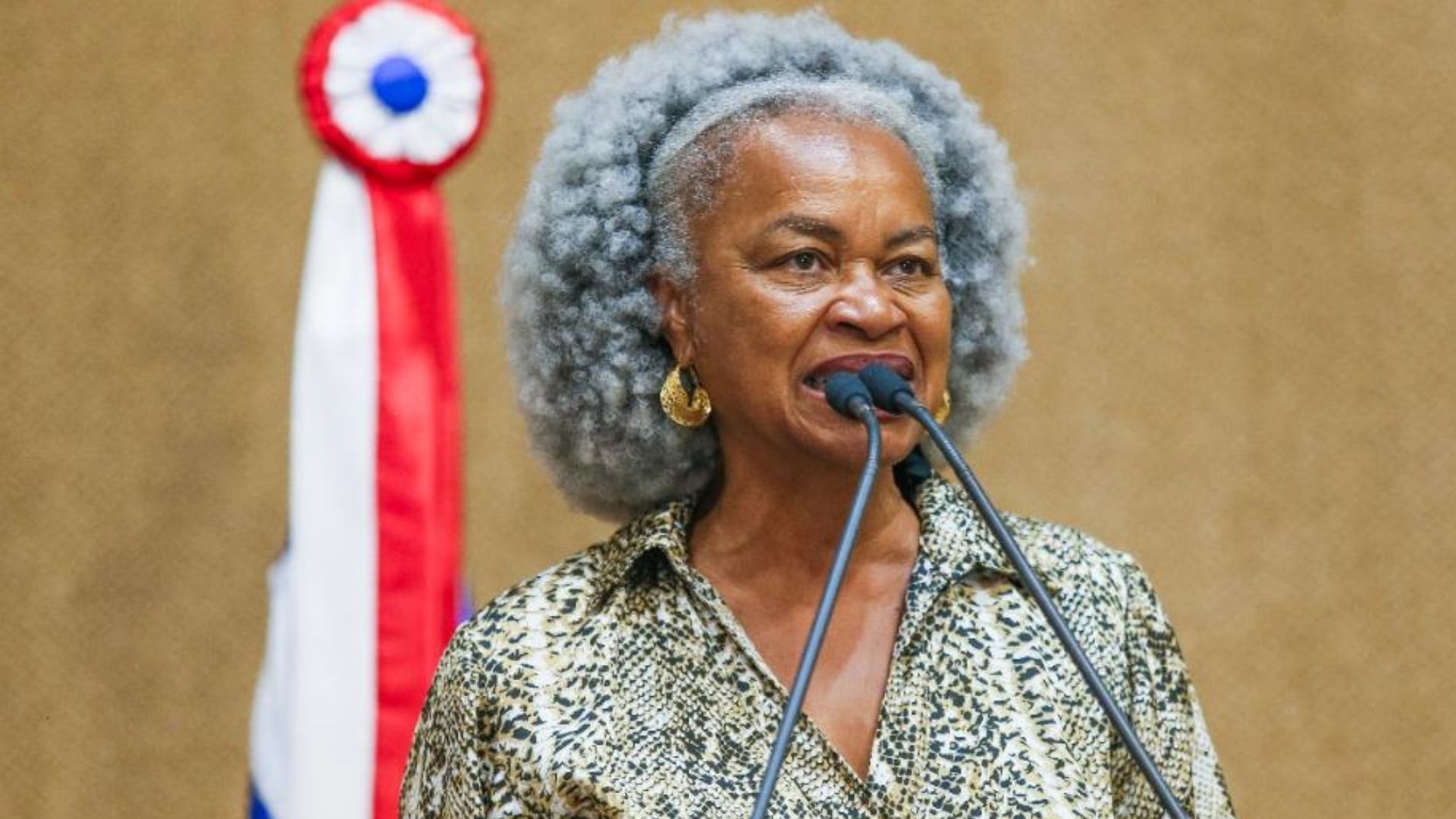 Deputada Ol&iacute;via Santana foi autora do projeto que pode mudar nome da rodovi&aacute;ria; Foto: JulianaAndrade/Ag&ecirc;nciaALBA