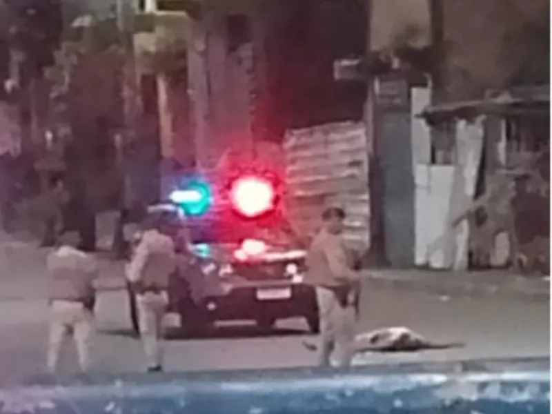 Imagem do Local do Crime/Foto: Reprodução