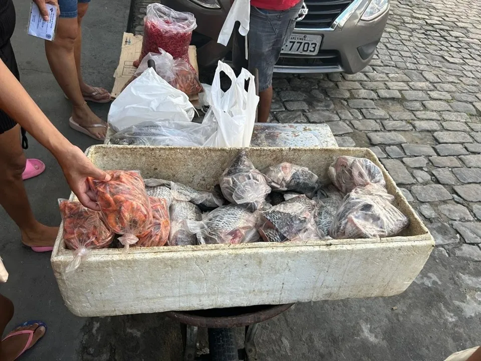 Tilápias de feira estão contaminadas com bactérias perigosas na Bahia