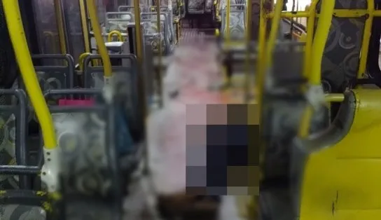 Passageiro reage a tentativa de assalto a ônibus e mata suspeito em Abrantes