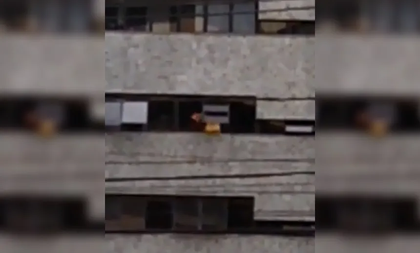 Vídeo: Morador flagra funcionário se arriscando para limpar janelas em bairro nobre de Salvador