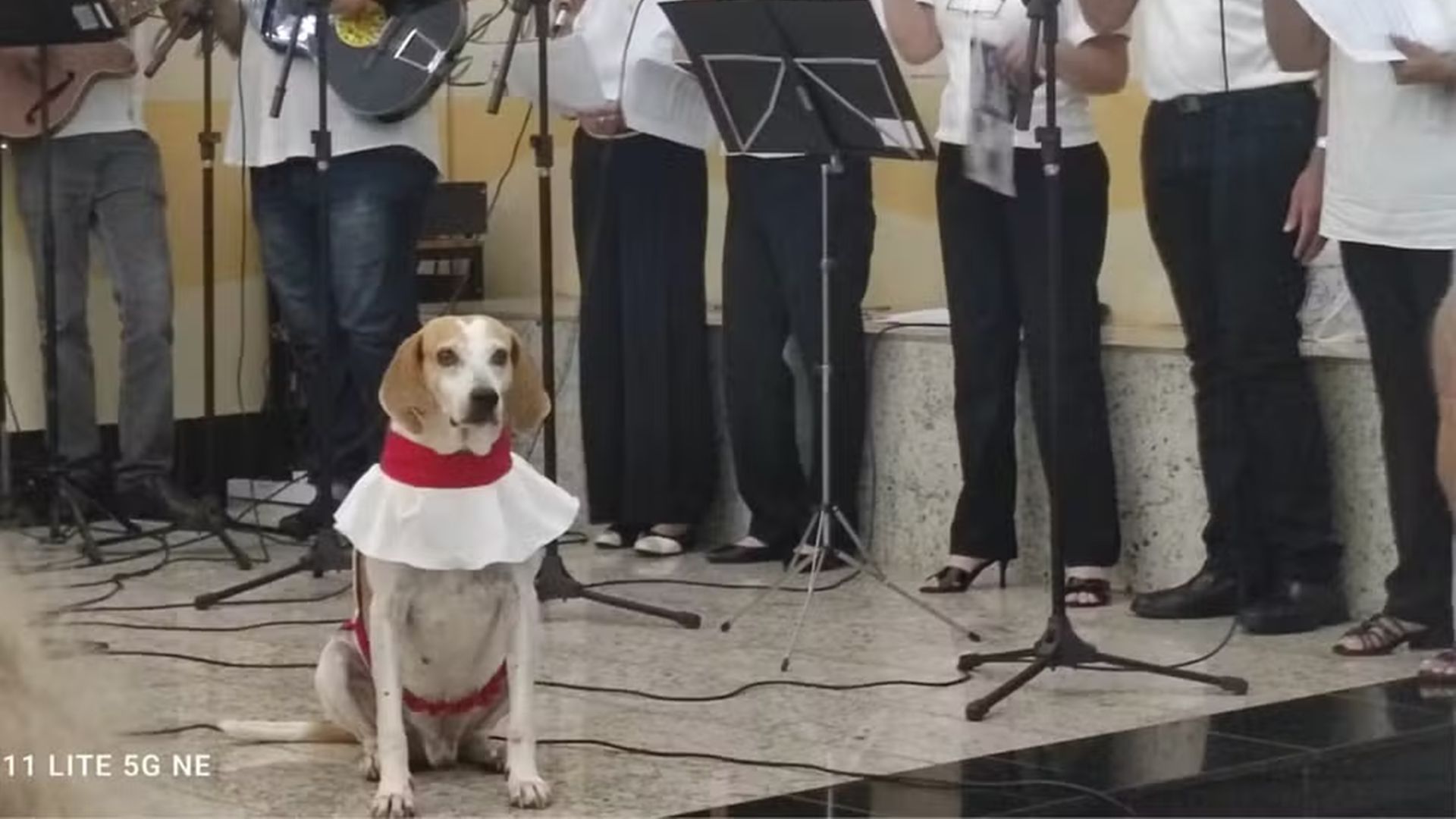 O cãoroinha Johnny faz sucesso entre os fieis | Foto: Paróquia Santa Ana e São Joaquim