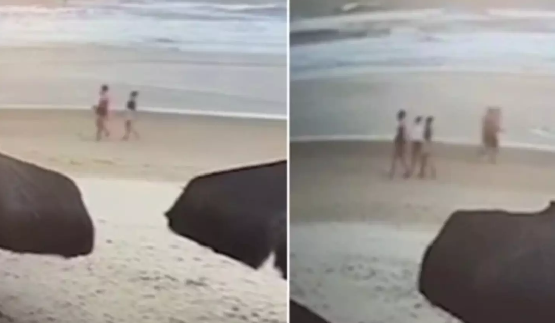 Mulheres assassinadas em Ilhéus estavam passeando com um cachorro. Foto: redes sociais 