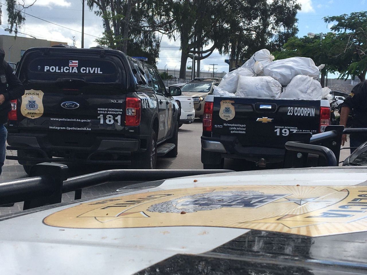Polícia Incinera Mais De Uma Tonelada De Drogas Na Bahia