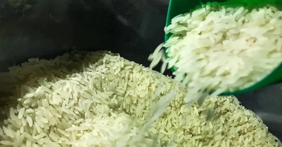 Ministro do Desenvolvimento Agrário diz que presidente decidirá sobre leilão para importar arroz