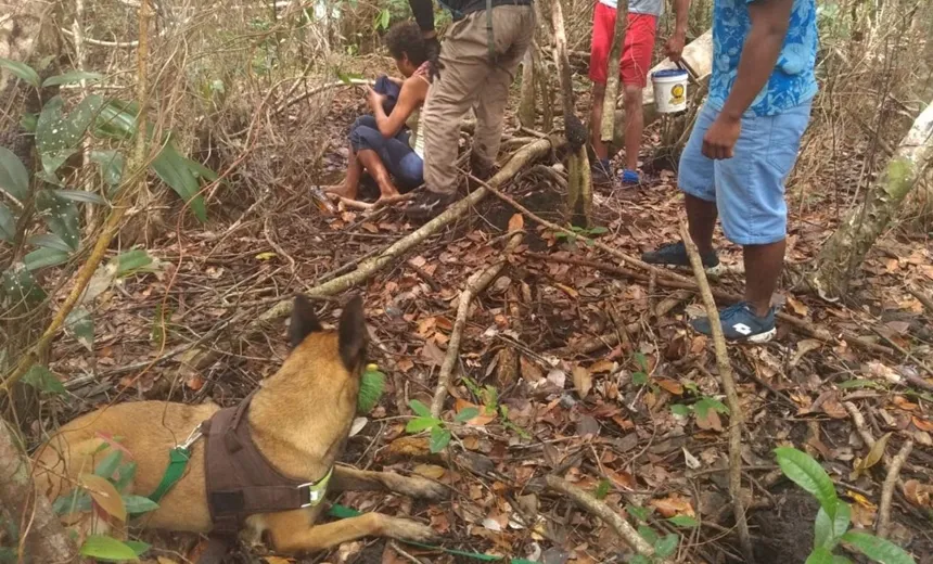 Cães da polícia encontram jovem desaparecida em Boipeba