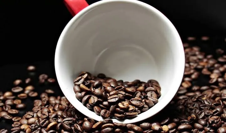 Festival Baiano de Cafés abre venda de ingressos para edição 2026 em Salvador
