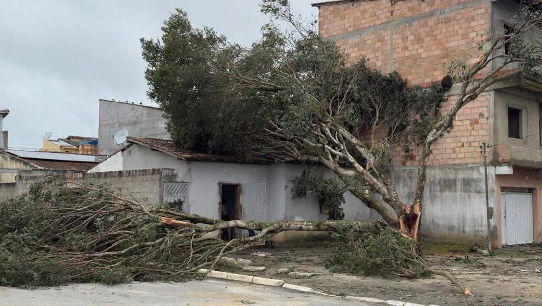 A cidade de Eunápolis decretou situação de emergência após destruição causada por vendaval.| Reprodução: Redes Sociais