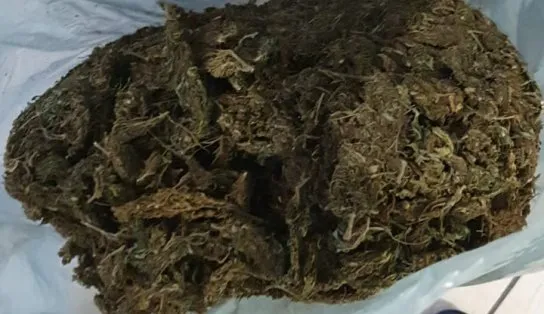 Dois policiais civis são presos acusados de envolvimento com o tráfico de drogas na Bahia