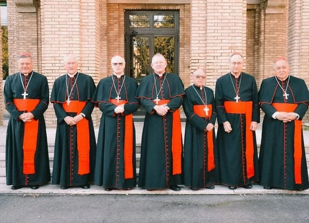 Sete cardeais brasileiros podem votar para a escolha do novo papa. Foto: Divulgação