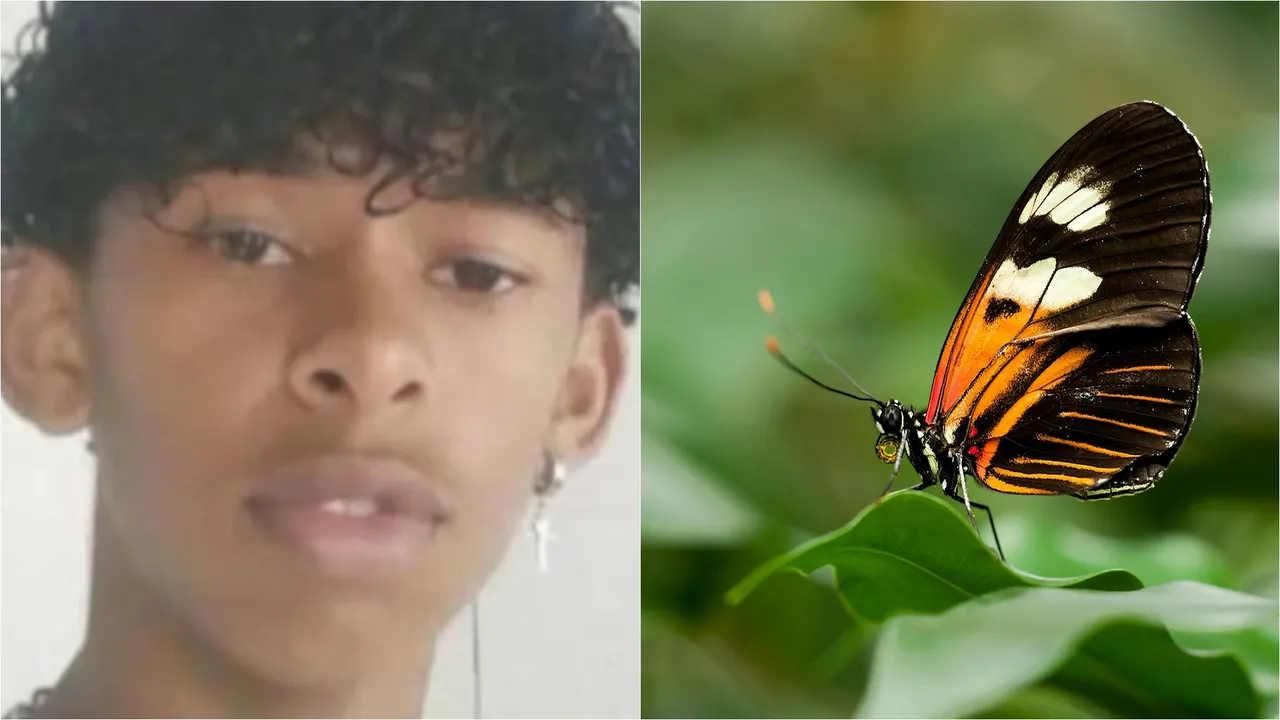 Foto: Arquivo Pessoal/Pexels
