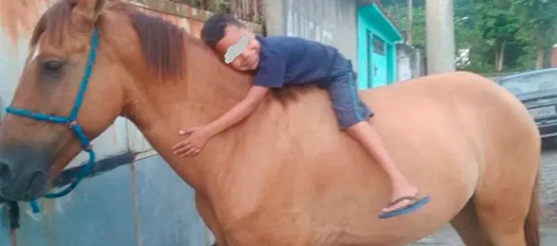 APELO: Emocionado com situação de criança, ladrão ‘bonzinho’ devolve cavalo furtado