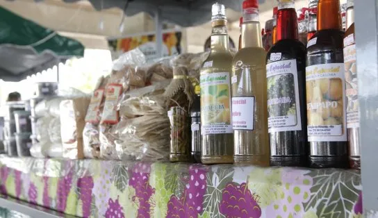 Expectativa é de que festejos do São João na Bahia movimentem mais de R$ 500 milhões, diz secretaria