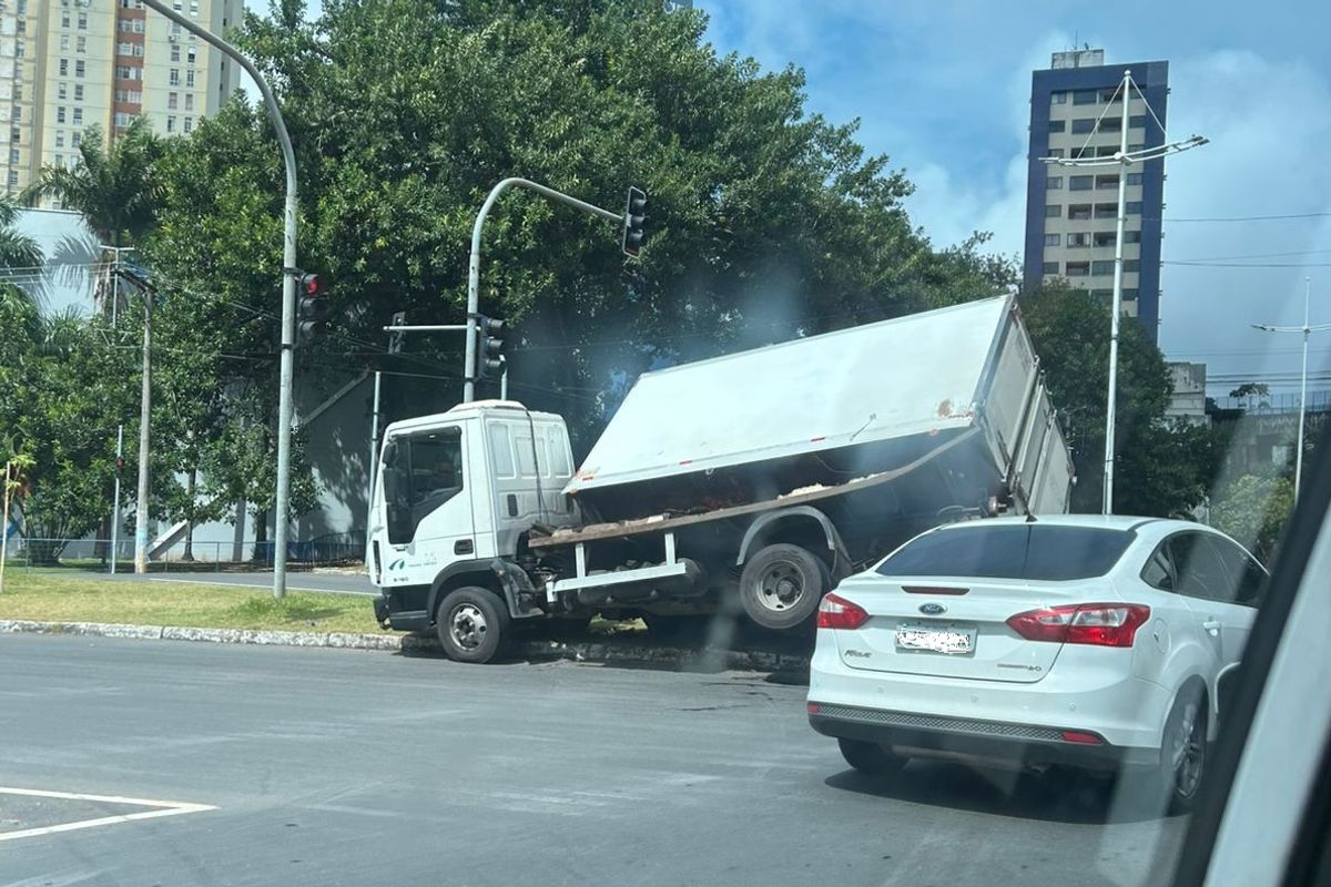 Caminh&atilde;o ba&uacute; sobe canteiro na Avenida Bonoc&ocirc;. Foto: Carol Paix&atilde;o