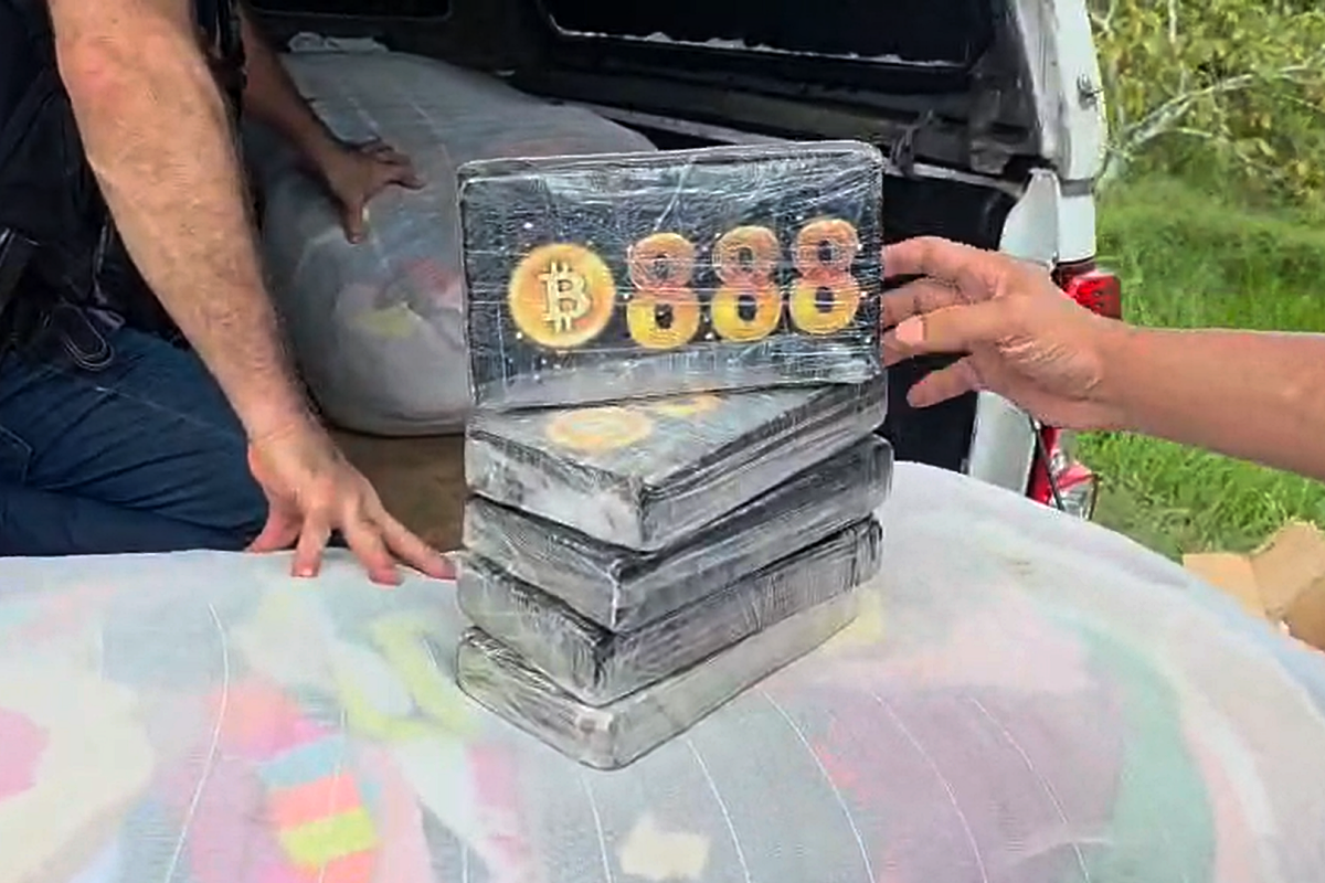 Blitz da policia intercepta carregamento de coca&iacute;na com destino a Salvador. Divulga&ccedil;&atilde;o/Ascom-PCBA