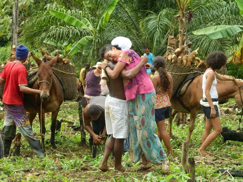 Inscrições abertas para IV Jornada de Agroecologia da Bahia