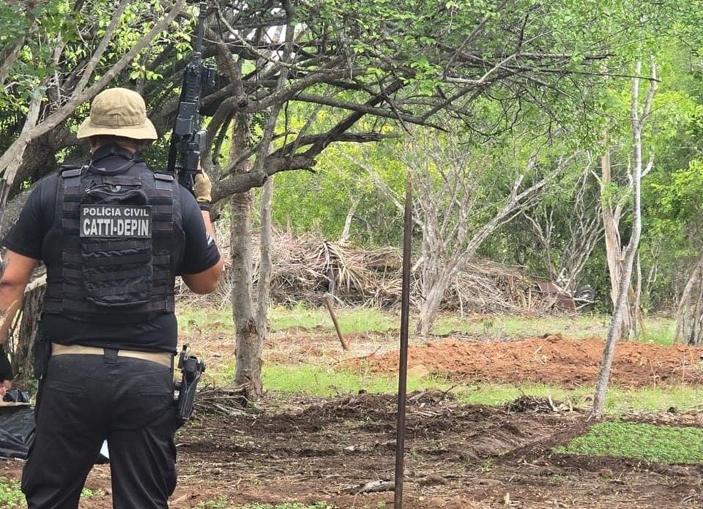 Suspeito morre e quatro são presos em terreno usado para plantar maconha no interior da Bahia. Foto: Ascom/PCBA