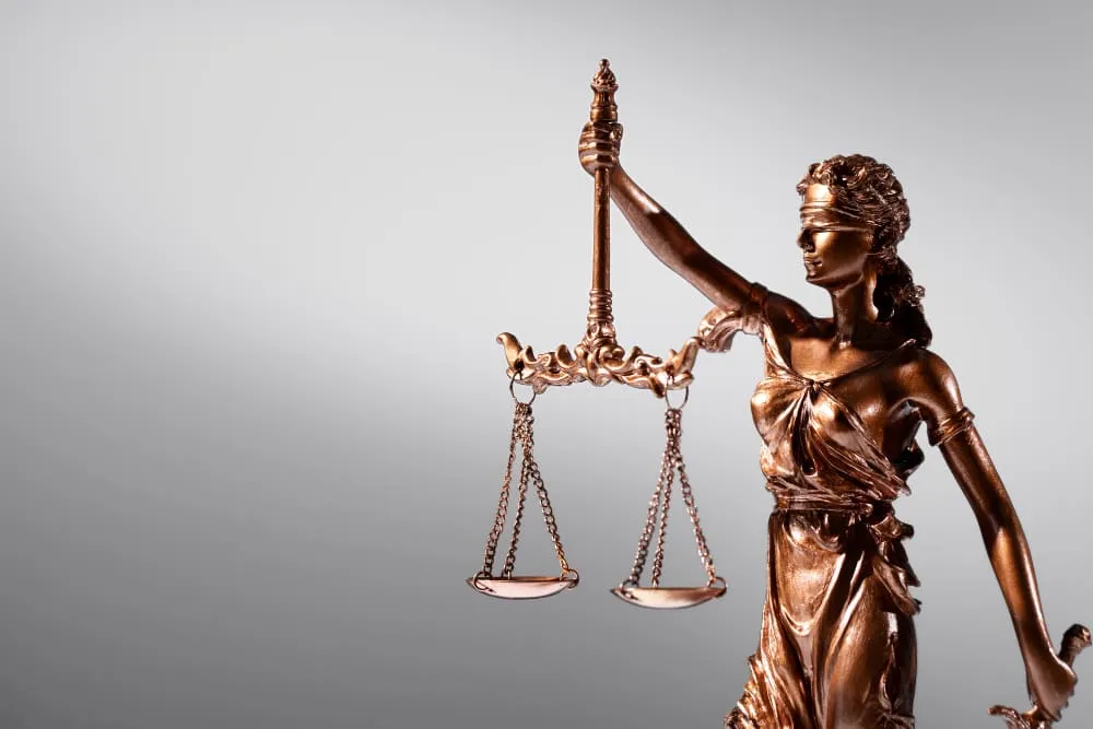 OAB: lista de aprovados já está disponível! Saiba como conferir