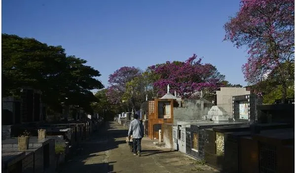Relatores da ONU denunciam governo brasileiro por colocar em risco "milhões de vidas"