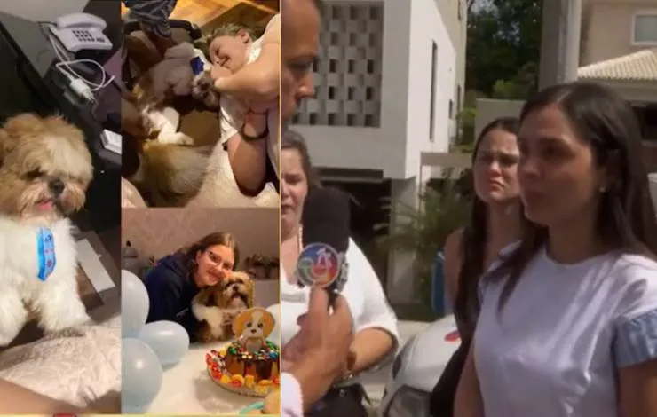 Cachorro morre atropelado em condomínio de luxo em Salvador: 'Passou por cima da cabeça'