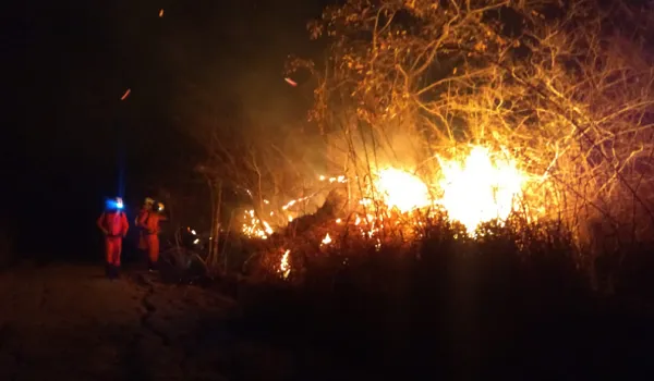 Incêndio atinge vegetação nativa na Serra da Bandeira, oeste da Bahia, há três dias