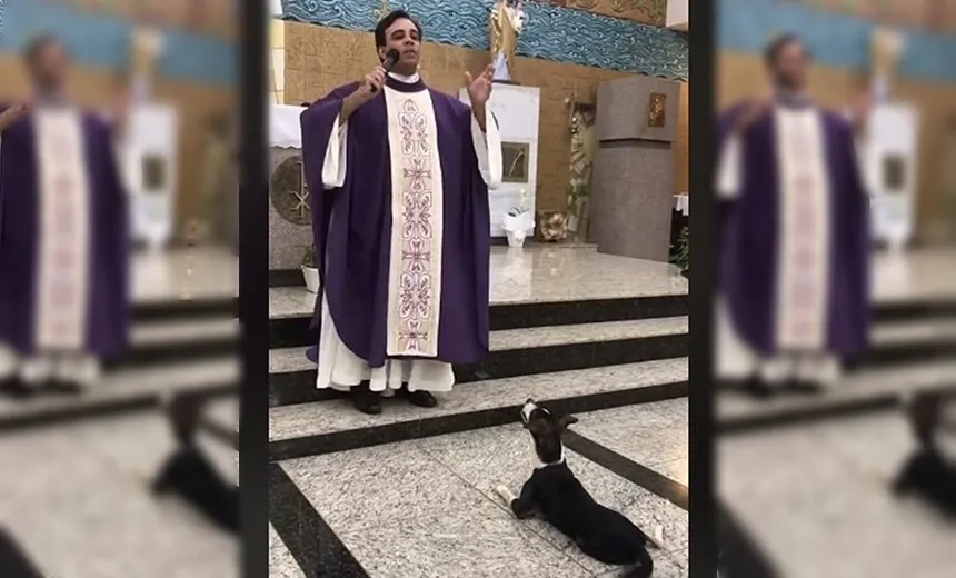 Vídeo: cão &#8216;Zezinho&#8217; acompanha padre em missa e encanta fiéis em Olímpia (SP)