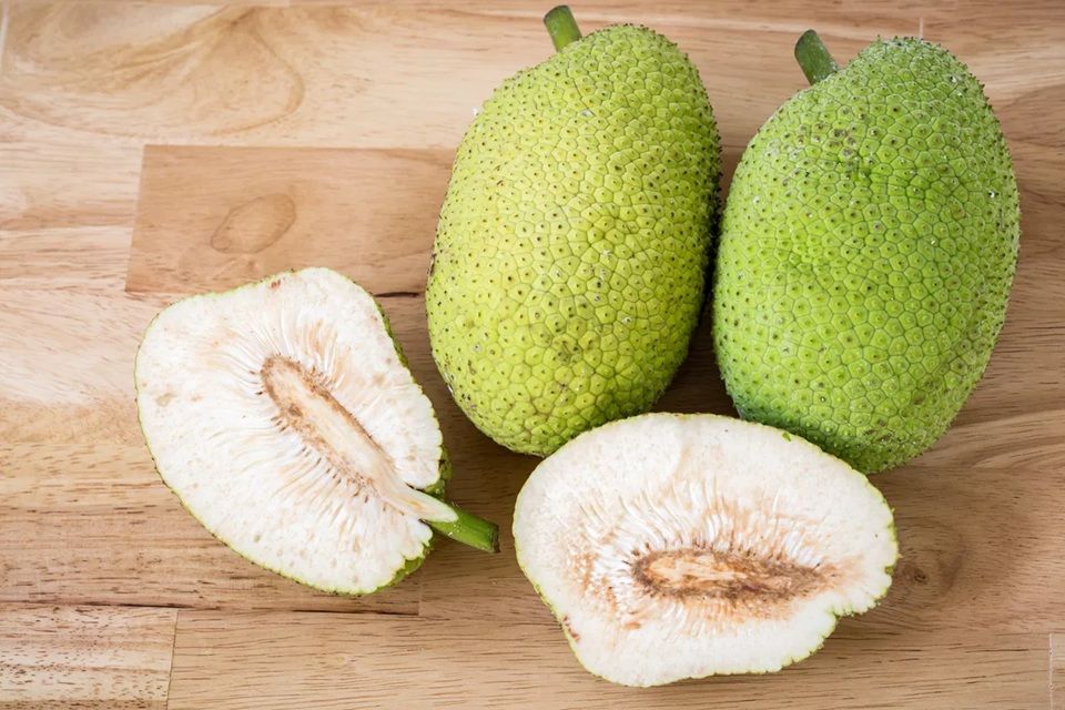 Fruta Pão