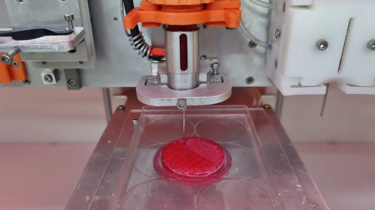 Imagem da carne desenvolvida em laboratório 