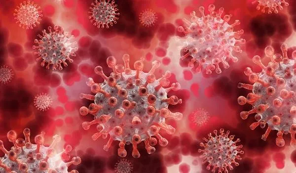 Brasil alcança quase meio milhão de infectados pelo novo coronavírus e passa a França em número de vítimas