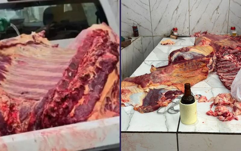 Carne impr&oacute;pria pode apresentar altera&ccedil;&otilde;es na cor, no cheiro e na textura, mas nem sempre os sinais s&atilde;o vis&iacute;veis. Por isso, comprar produtos de origem conhecida &eacute; a forma mais segura de proteger a sa&uacute;de/Foto: Adab/Divulga&ccedil;&atilde;o&nbsp;