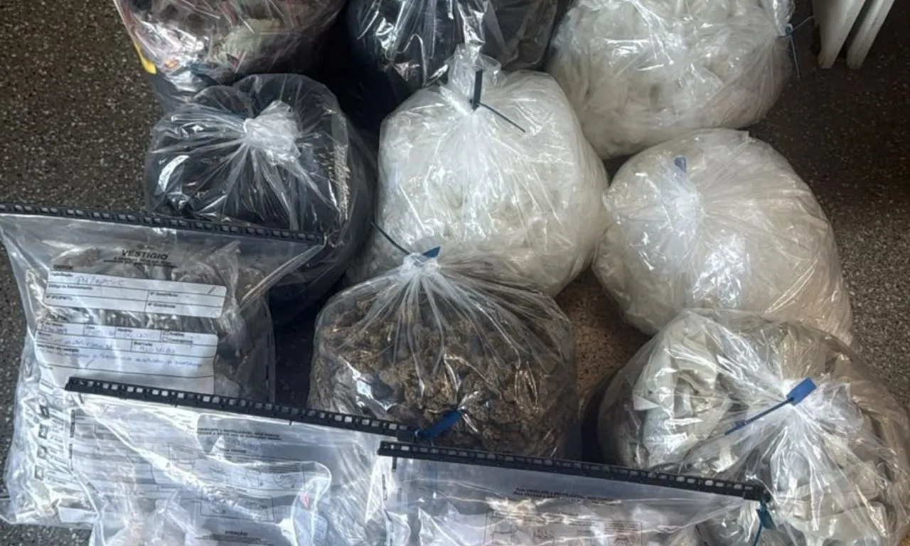 PM apreende 35 mil porções de cocaína em Pituaçu, em Salvador