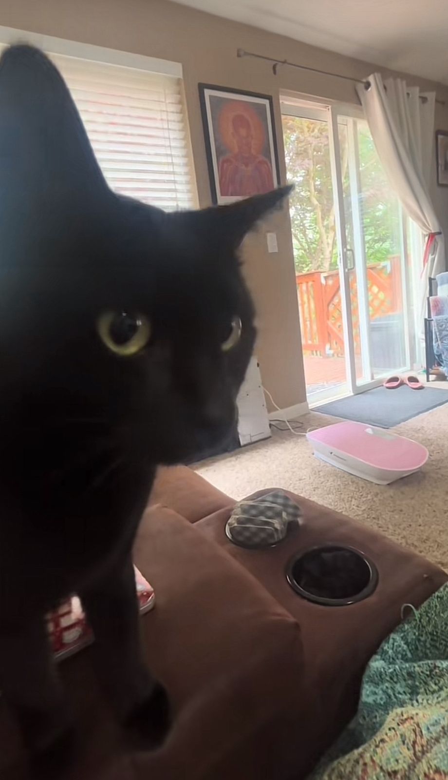 Embora reconheça o simbolismo místico do tarô, a tutora afirma que evita atribuir ao gato poderes sobrenaturais. | Foto: Redes Sociais/TikTok