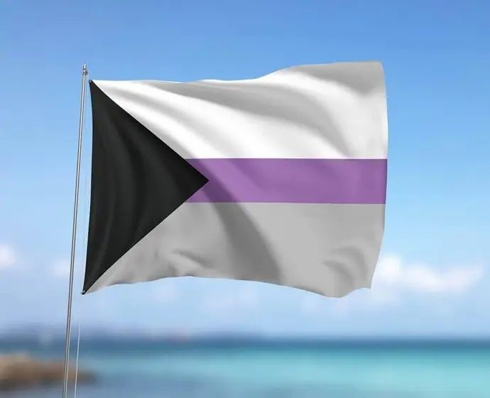 Bandeira da demissexualidade, uma das orientações sexuais não presentes na sigla LGBTQIAPN+ | Foto: redes sociais