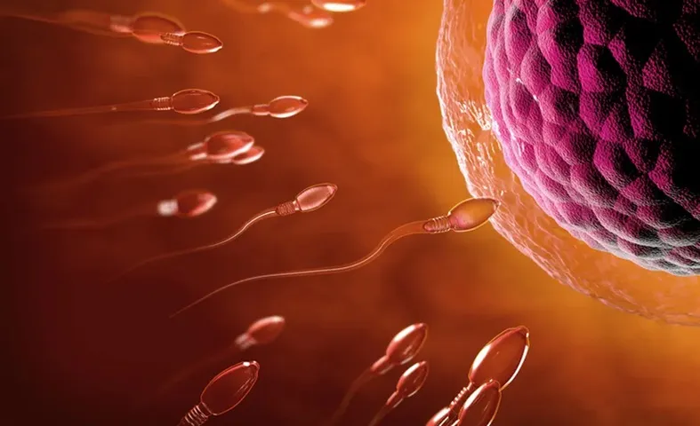 Infertilidade masculina