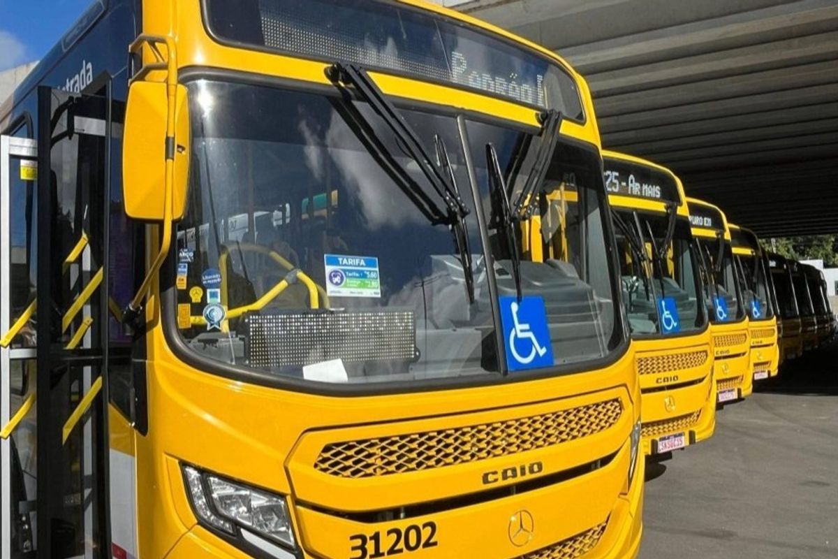 Linhas de &ocirc;nibus em Salvador. Foto: Divulga&ccedil;&atilde;o