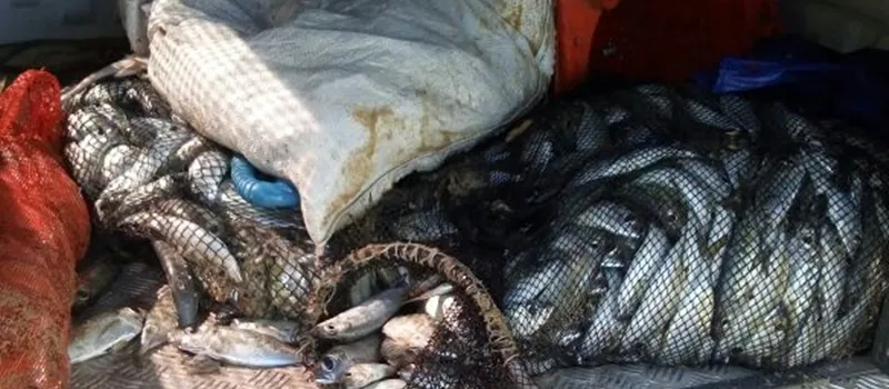 CAMPEÃO DO MAL: Polícia captura em flagrante maior praticante de pesca com bomba de Salvador
