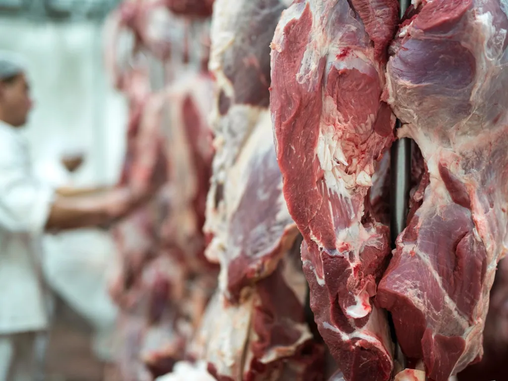 emprego simm açougue