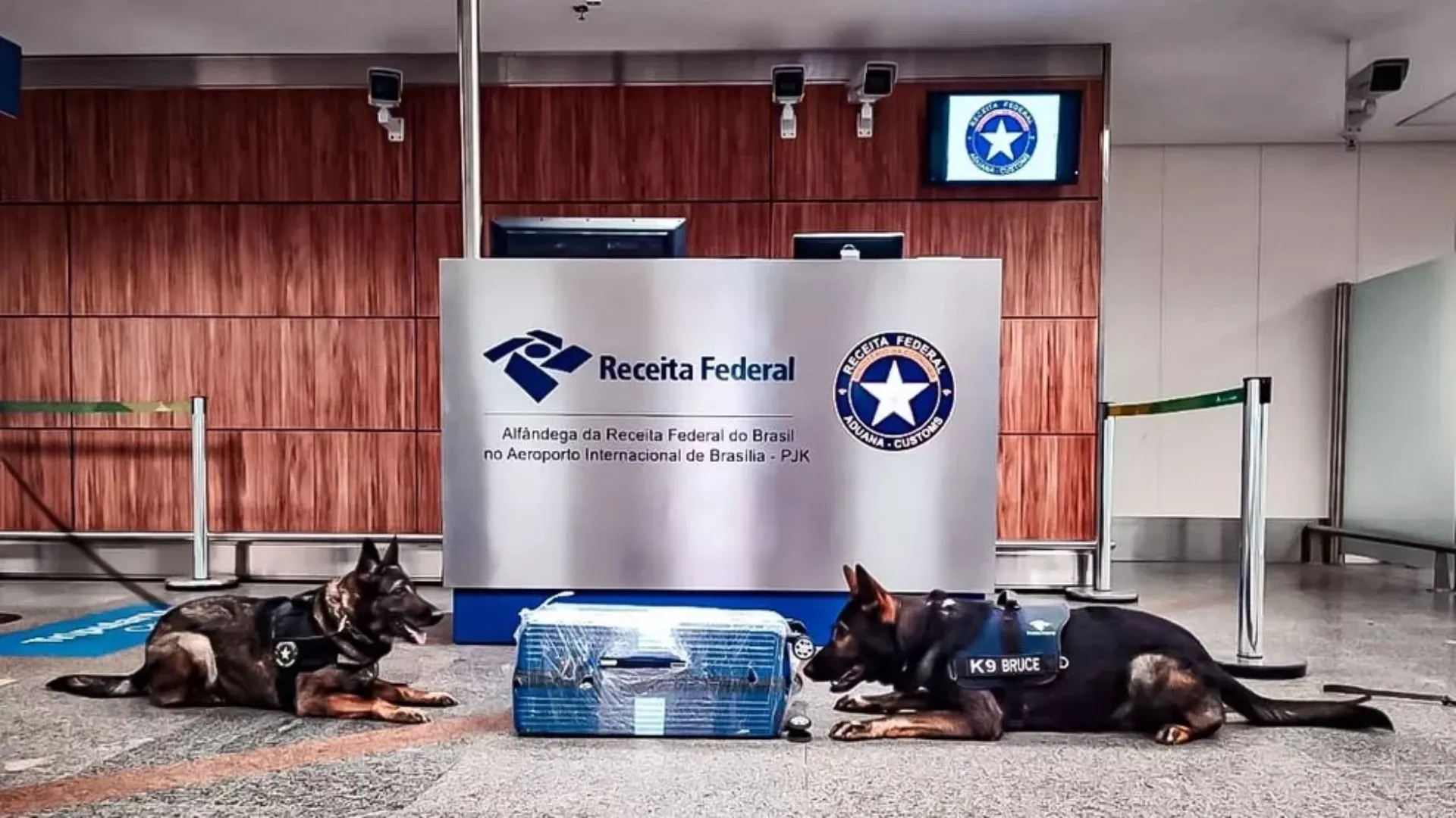 Os chamados cães de faro da Receita Federal passam por processo seletivo