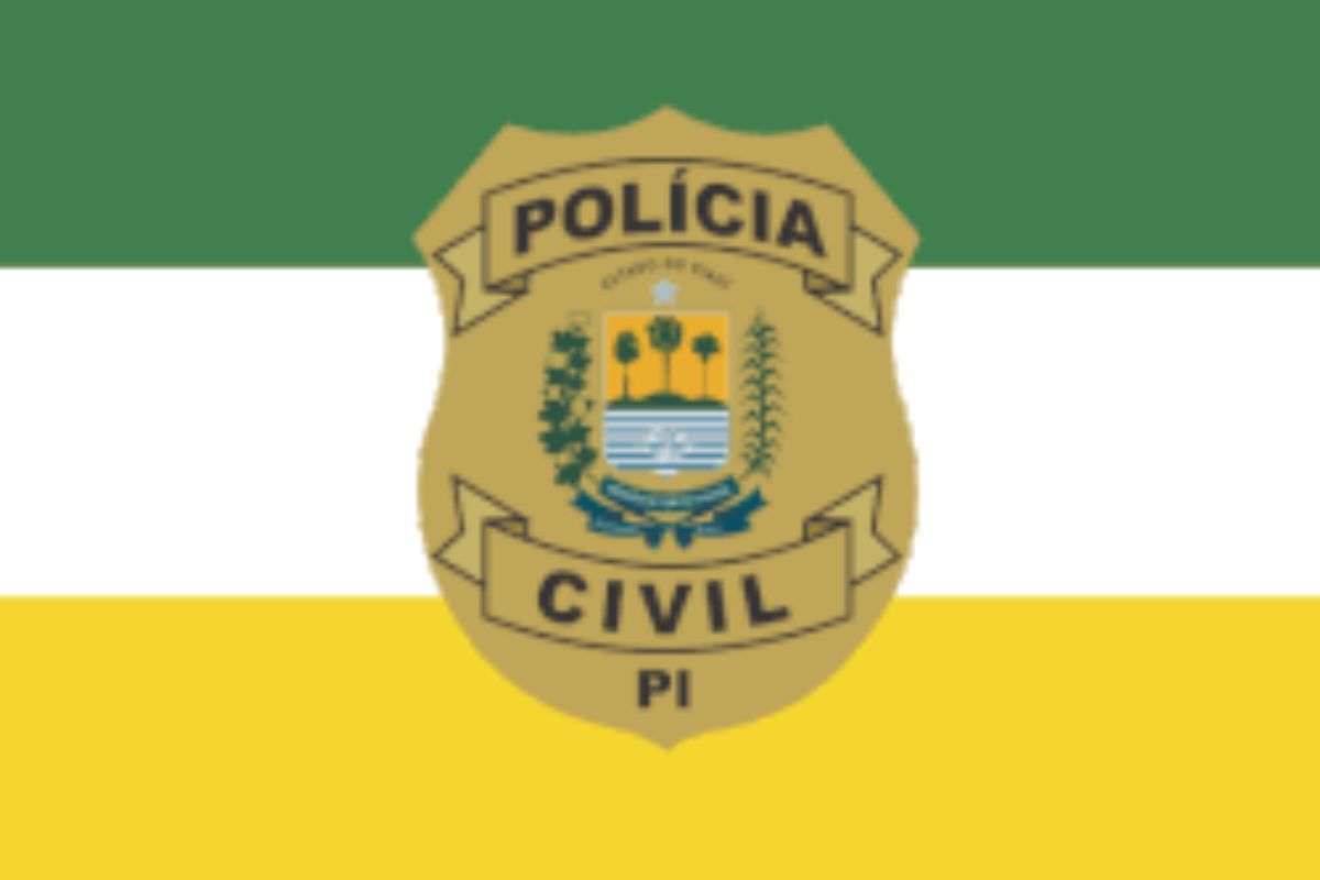 Polícia Civil Do Piauí Fundação Getúlio Vargas| Fotos: Divulgação Polícia Civil Piauí 
