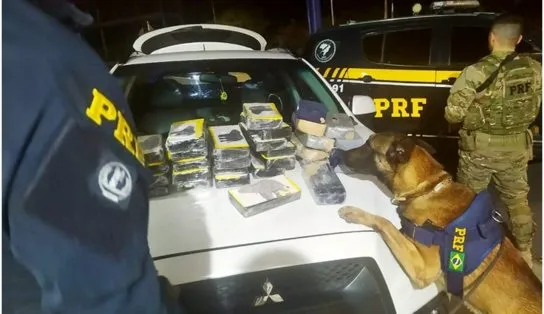 Com auxílio de cão farejador, PRF apreende 30,4 kg de cocaína escondidas em automóvel no interior da Bahia