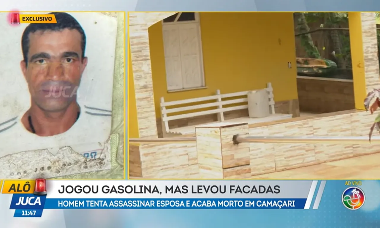 Alô Juca