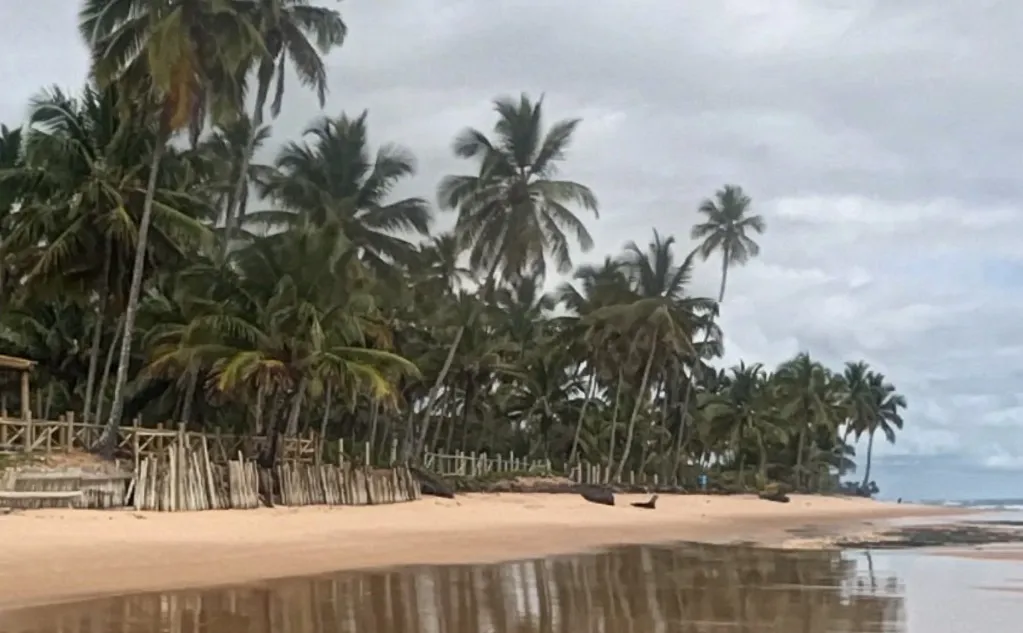 Corpo de turista de Minas Gerais é encontrado em praia na Bahia